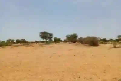 Terrain de 116 Hectare Vers Diokoul Diawrigne à Louga - Vue 2