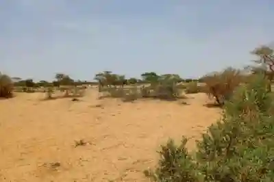 Terrain de 116 Hectare Vers Diokoul Diawrigne à Louga - Vue 3