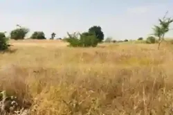 Terrain de 118 Hectare Vers Tassette à Thies