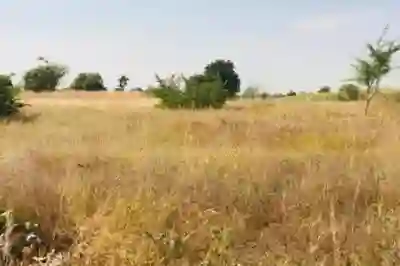 Terrain de 118 Hectare Vers Tassette à Thies