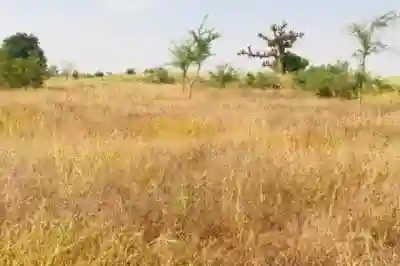Terrain de 118 Hectare Vers Tassette à Thies - Vue 1