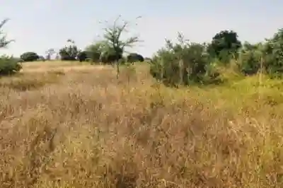Terrain de 118 Hectare Vers Tassette à Thies - Vue 2