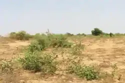 Terrain de 121 Hectare Vers Cherif Lô à Thies