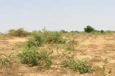 Terrain de 121 Hectare Vers Cherif Lô à Thies - Vue 3