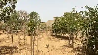 Terrains 600 Mètres Carrés à Vendre à Saly Sé à Mbour - Vue 1