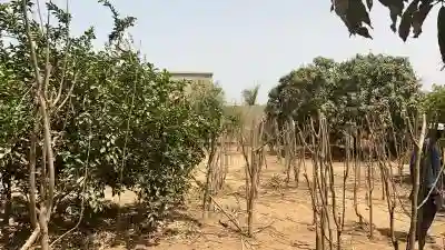 Terrains 600 Mètres Carrés à Vendre à Saly Sé à Mbour - Vue 2