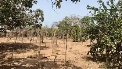 Terrains 600 Mètres Carrés à Vendre à Saly Sé à Mbour - Vue 3
