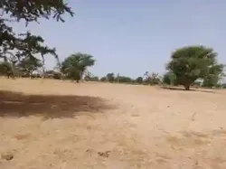 Terrain de 105 Hectare Vers Tassette à Thies