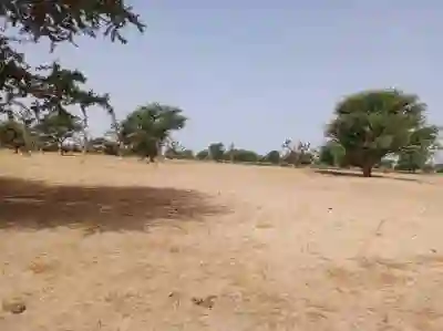 Terrain de 105 Hectare Vers Tassette à Thies