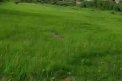 Terrain de 105 Hectare Vers Tassette à Thies - Vue 2