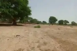 Terrain de 106 Hectare Vers Tassette à Thies