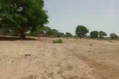 Terrain de 106 Hectare Vers Tassette à Thies