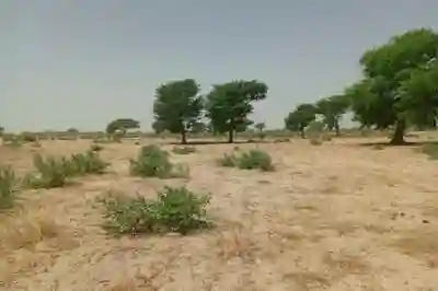 Terrain de 106 Hectare Vers Tassette à Thies - Vue 1