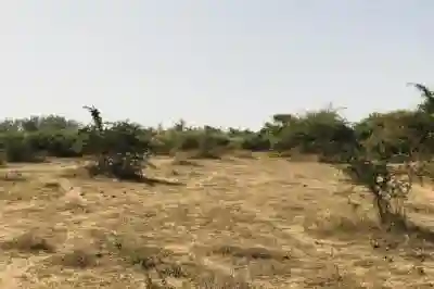 Terrain de 106 Hectare Vers Tassette à Thies - Vue 2