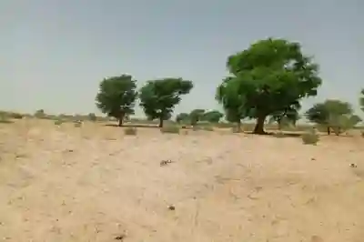 Terrain de 106 Hectare Vers Tassette à Thies - Vue 3
