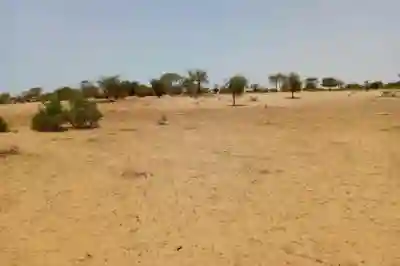 Terrain de 114 Hectare Vers Diokoul Diawrigne à Louga - Vue 1