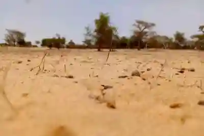 Terrain de 114 Hectare Vers Diokoul Diawrigne à Louga - Vue 2