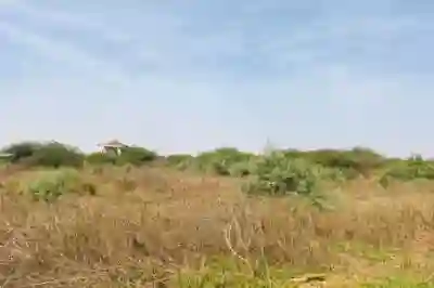 Terrain de 2 Hectares Vers Yenne à Dakar
