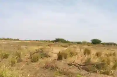 Terrain de 2 Hectares Vers Yenne à Dakar - Vue 2
