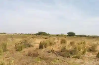 Terrain de 2 Hectares Vers Yenne à Dakar - Vue 3