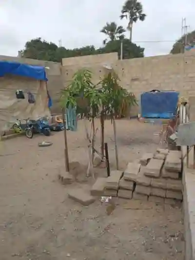 Vente Terrain Clôturé de 150 m² à Bambilor à Rufisque - Vue 1