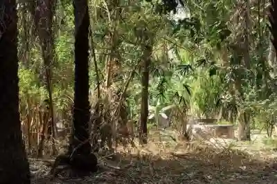 Verger de 1 Hectare Vers Kafountine à Bignona