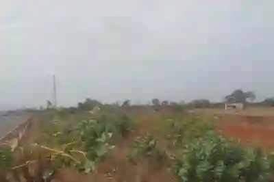 Verger de 13 Hectares Vers Sindia à Mbour