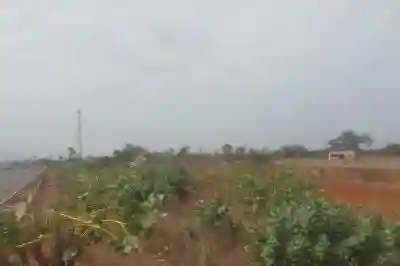 Verger de 13 Hectares Vers Sindia à Mbour - Vue 1