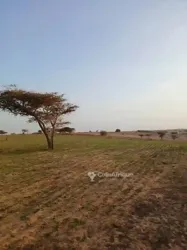 Terrains Agricoles 68ha -mboro