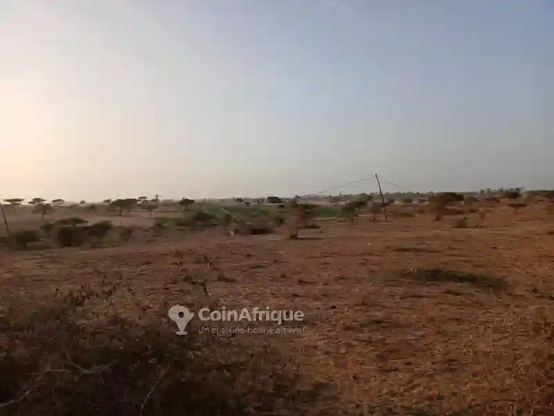 Terrains Agricoles 68ha -mboro - Vue 2