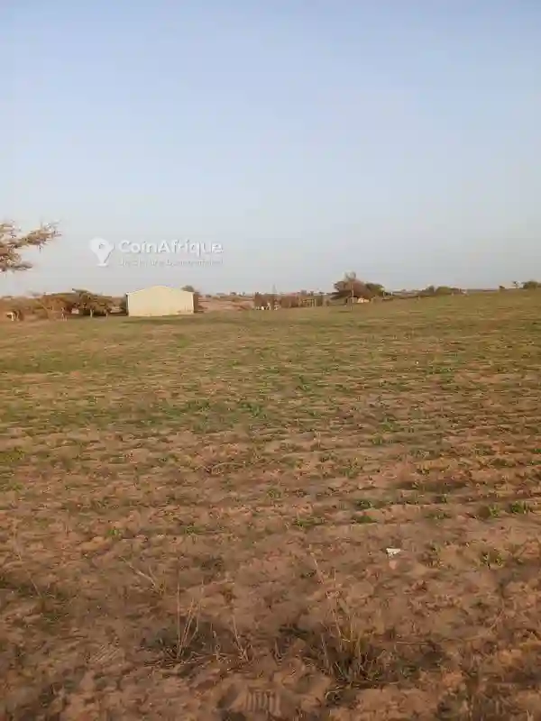 Terrains Agricoles 68ha -mboro - Vue 4