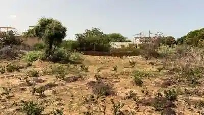 Terrain 543 Mètres Carrés à Vendre à Somone Se à Mbour - Vue 2