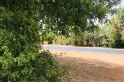 Verger Fruitier de 225 Hectares Vers Notto Diobas à Thies - Vue 1