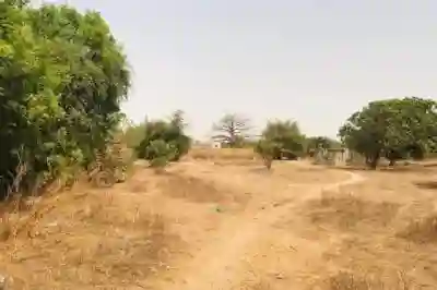 Verger Fruitier de 225 Hectares Vers Notto Diobas à Thies - Vue 2