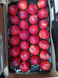 Nectarine À Vendre
