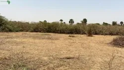 Terrains de 300 Mètres Carrés à Vendre à