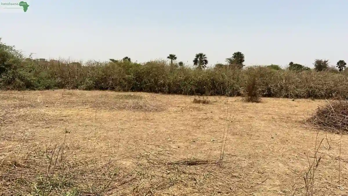 Terrains de 300 Mètres Carrés à Vendre à