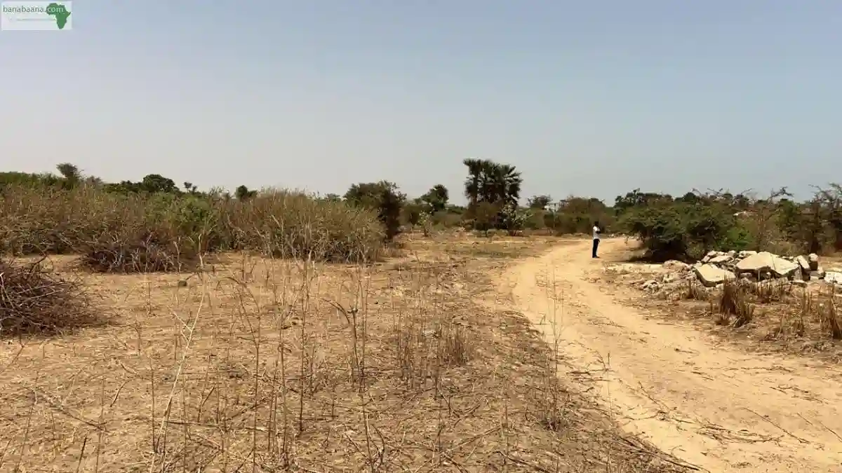 Terrains de 300 Mètres Carrés à Vendre à - Vue 3