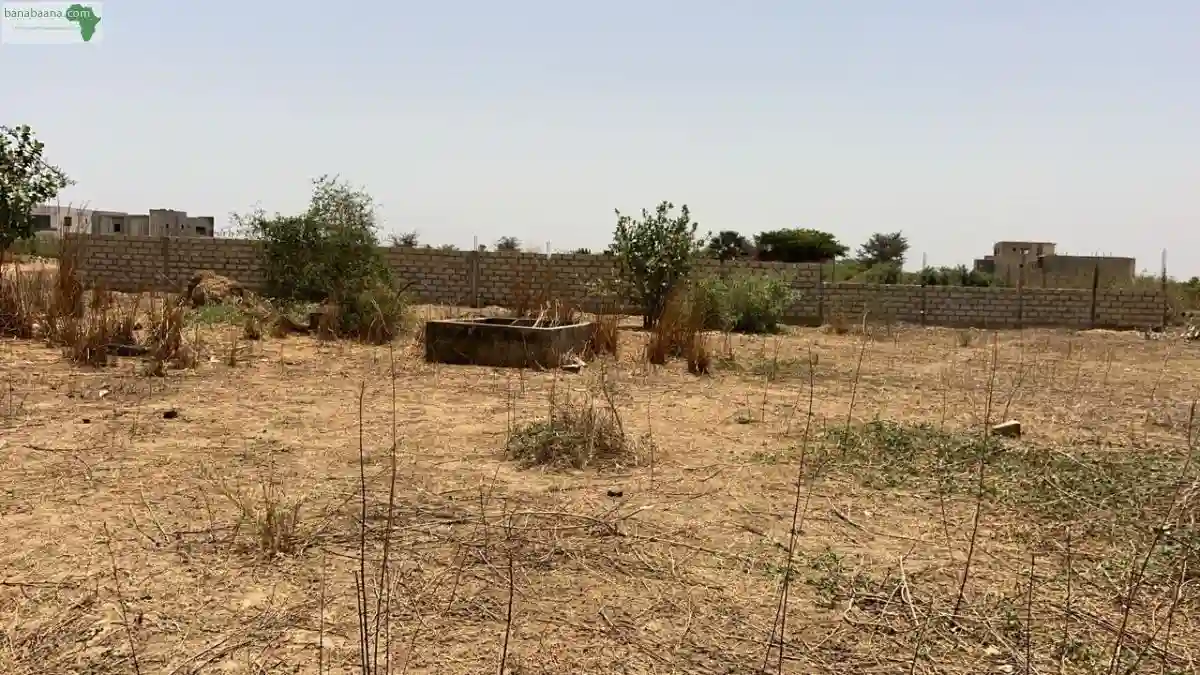 Terrains de 300 Mètres Carrés à Vendre à - Vue 4