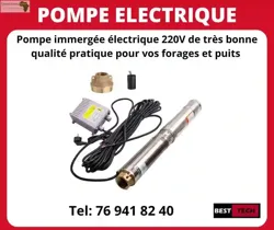Vente DES Pompes Electriques DE 018w à 3KW