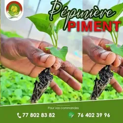 Ferme Agricole + Accompagnement
