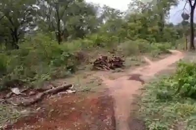 Terrain de 5 Hectares Vers Niamone à Ziguinchor