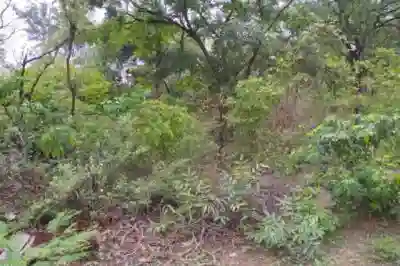 Terrain de 5 Hectares Vers Niamone à Ziguinchor - Vue 1