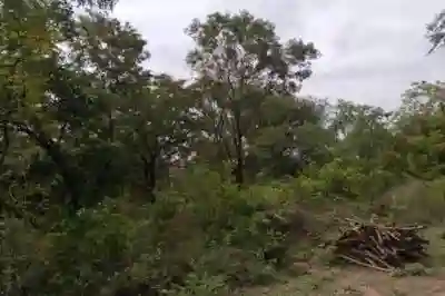Terrain de 5 Hectares Vers Niamone à Ziguinchor - Vue 2
