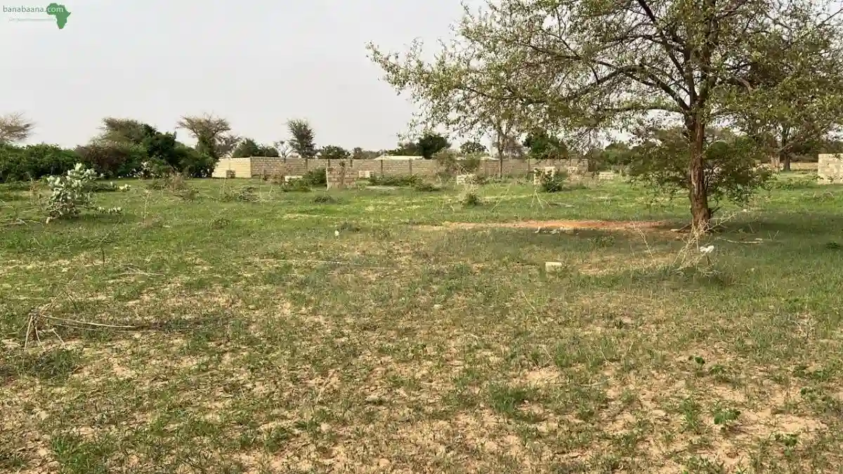 Terrain de 600 Mètres Carrés à Vendre à M - Vue 2