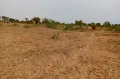 Terrain de 7500 m² Vers Khombole à Thies - Vue 2