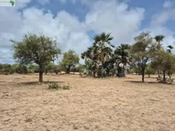 Terrains de 300 Mètres Carrés à Vendre à