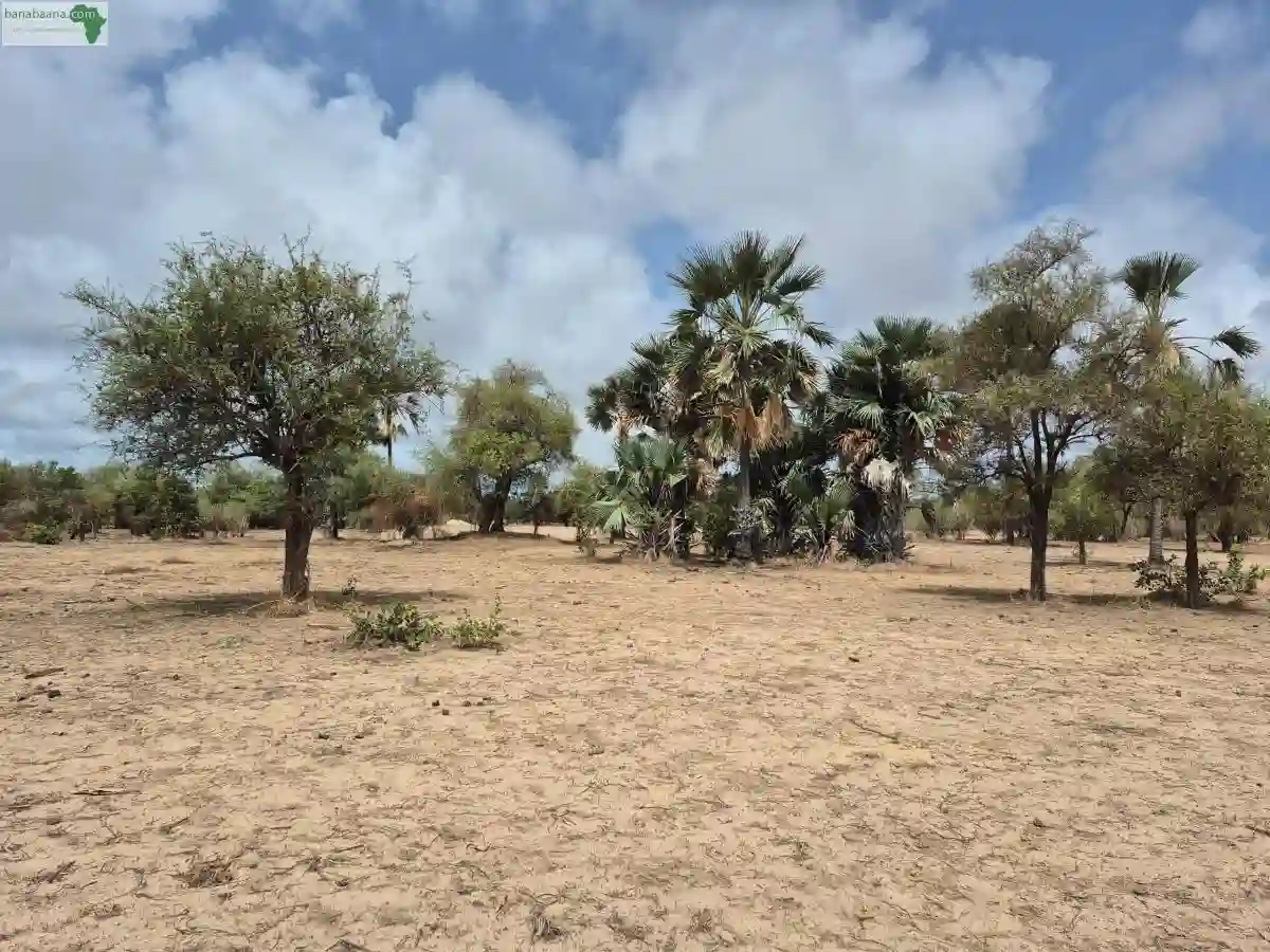 Terrains de 300 Mètres Carrés à Vendre à