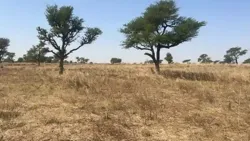 Terrains de 300 Mètres Carrés à Vendre à Malicounda Sénégal