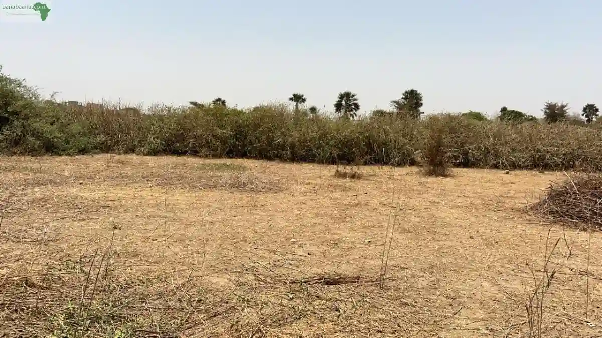 Terrain de 1200 Mètres Carrés à Vendre à - Vue 1